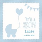 its a boy geboorte kaartje blauw